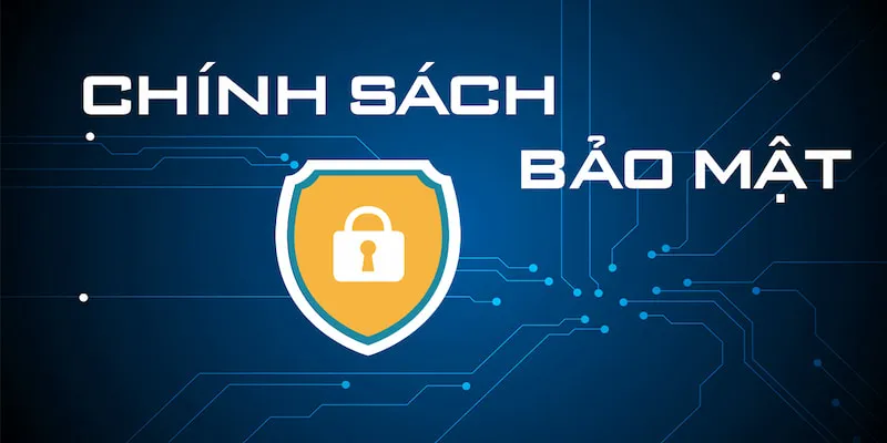 Tổng quan thông tin chính sách bảo mật
